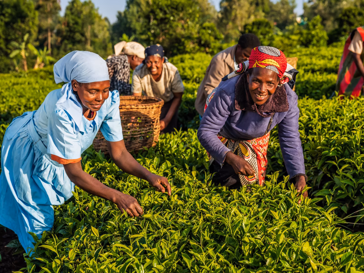Empowering Farmers Through Alternative Data: Afropavo's Approach to Financial Inclusion