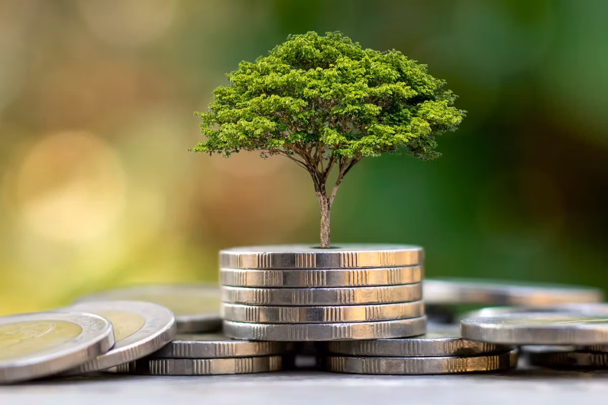 Investment Advisory
